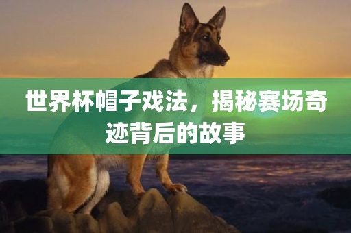 世界杯帽子戏法，揭秘赛场奇迹背后的故事眉山市正发家政服务有限公司