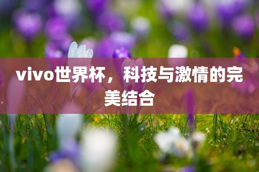vivo世界杯，科技与激眉山市正发家政服务有限公司情的完美结合
