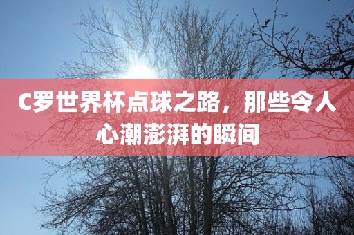 C罗世界杯点球之路，那些令人心潮澎湃的瞬间眉山市正发家政服务有限公司
