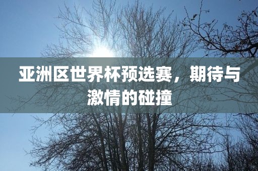亚洲区世界杯预选赛，期待与激情的碰撞