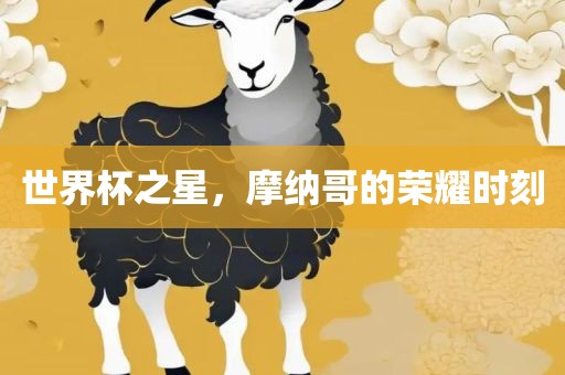 世界杯之星，摩纳哥的荣耀时刻
