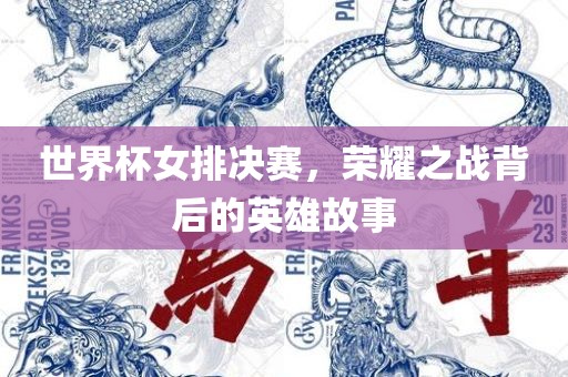 世界杯女排决赛，荣耀之战背后的英雄故事