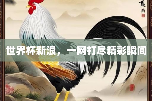 世界杯新浪，一网打尽精彩瞬间眉山市正发家政服务有限公司