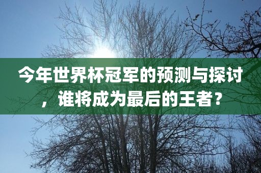 今年世界杯冠军的预测与探讨，谁将成为最后的王者？