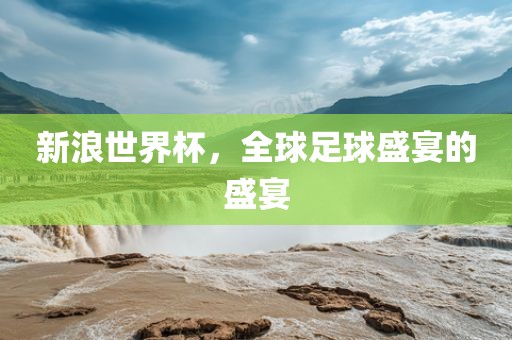 新浪世界杯，全球足球盛宴的盛宴眉山市正发家政服务有限公司