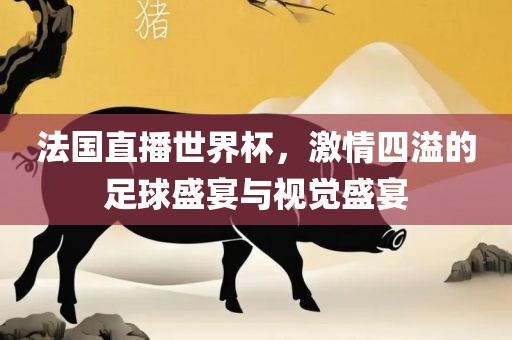 法国直播世界杯，激情四溢的足球盛宴与视觉盛宴眉山市正发家政服务有限公司