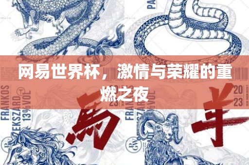 网易世界杯，激情与荣耀的重燃之夜眉山市正发家政服务有限公司