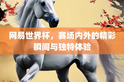 网易世界杯，赛场内外的精彩瞬间与独特体验眉山市正发家政服务有限公司
