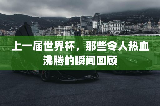 上一届世界杯，那些令人热血沸腾的瞬间回顾眉山市正发家政服务有限公司