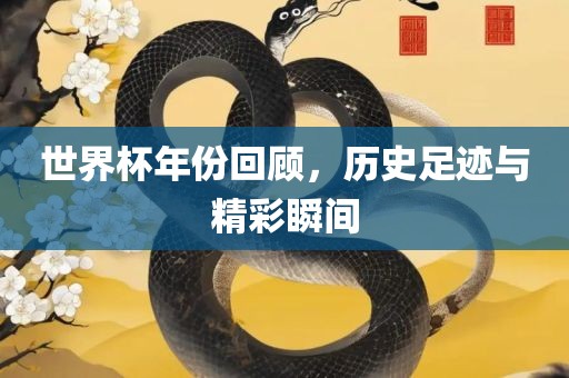 世界杯年份回顾，历史足迹与精彩瞬间眉山市正发家政服务有限公司