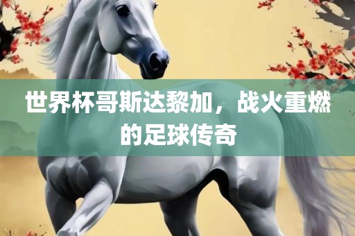世界杯哥斯达黎加，战火重燃的足球传奇眉山市正发家政服务有限公司