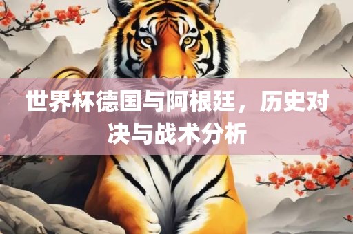世界杯德国与阿根廷，历史对决与战术分析