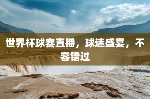 世界杯球赛直播，球迷盛宴，不容错过眉山市正发家政服务有限公司