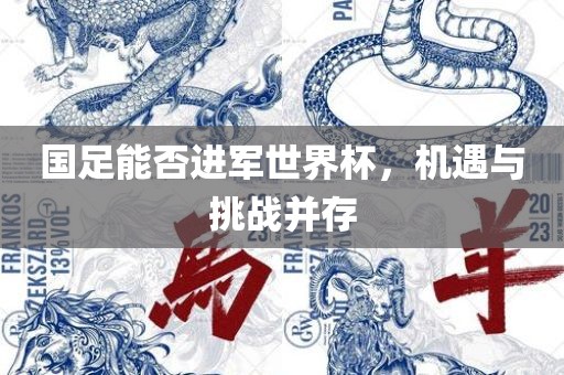 国足能否进军世界杯，机遇与挑战并存眉山市正发家政服务有限公司