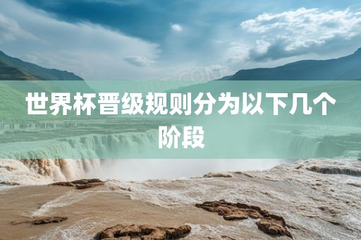 世界杯晋级规则分眉山市正发家政服务有限公司为以下几个阶段
