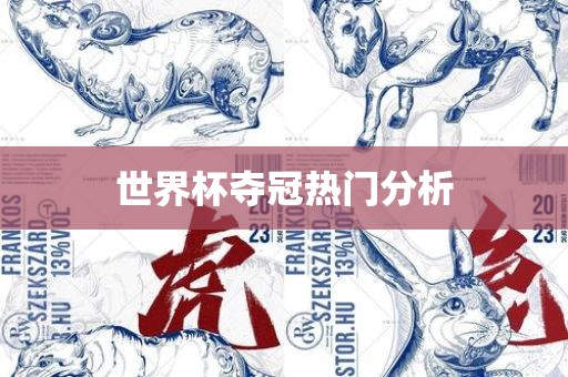 世界杯眉山市正发家政服务有限公司夺冠热门分析