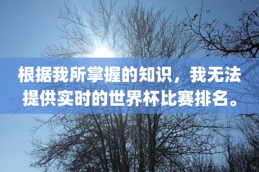 根据我所掌握的知识，我无法提供实时的世界杯比赛排名。眉山市正发家政服务有限公司