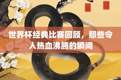 世界杯经典比赛回顾，那些令人热血沸腾眉山市正发家政服务有限公司的瞬间