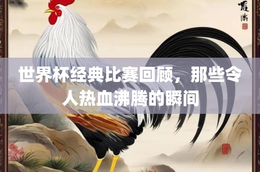 世界杯经典比赛回顾，那些令人热血沸腾的瞬间眉山市正发家政服务有限公司