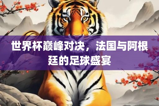世界杯巅峰对决，法国与阿根廷的足球盛宴眉山市正发家政服务有限公司