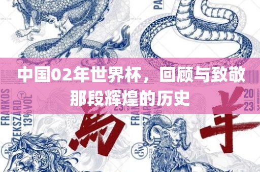 眉山市正发家政服务有限公司中国02年世界杯，回顾与致敬那段辉煌的历史