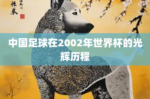 中国足球在2002年世界杯的光辉历程眉山市正发家政服务有限公司