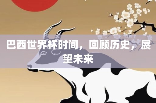 巴西世界杯时间，回顾历史，展望未来眉山市正发家政服务有限公司