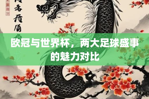 欧冠与世界杯，两大足球盛事的魅眉山市正发家政服务有限公司力对比