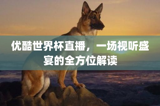 优酷世界杯直播，一场视听盛宴的全方位解读