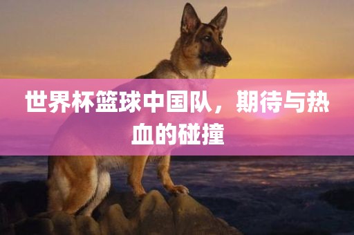 世界杯篮球中国队，期待与热血的碰眉山市正发家政服务有限公司撞