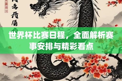 世界杯比赛日程，全眉山市正发家政服务有限公司面解析赛事安排与精彩看点