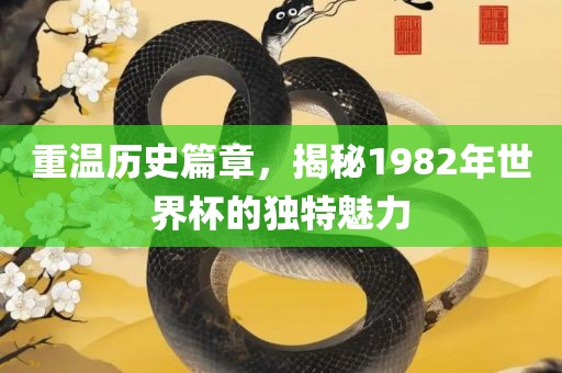 重温历史篇章，揭秘1982年世界杯的独特魅力眉山市正发家政服务有限公司
