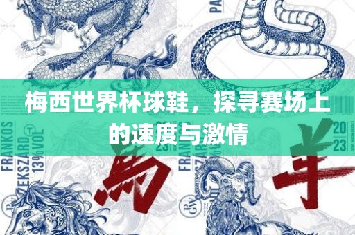梅西世界杯球鞋，探寻赛场上的速度与激情