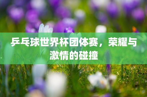 乒乓球世界杯团体赛，荣耀与激情的碰撞