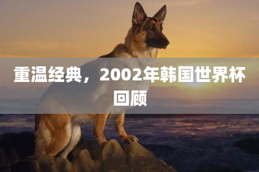 重温经典，2002年韩国世界杯回顾眉山市正发家政服务有限公司