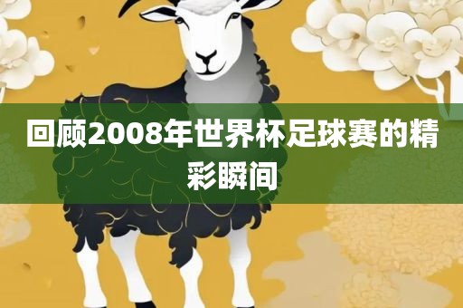 回顾2008年世界杯足球赛的精彩瞬间眉山市正发家政服务有限公司