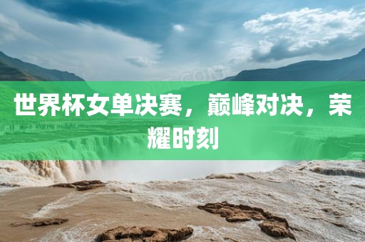 世界杯女单决赛，巅峰对决，荣耀时刻