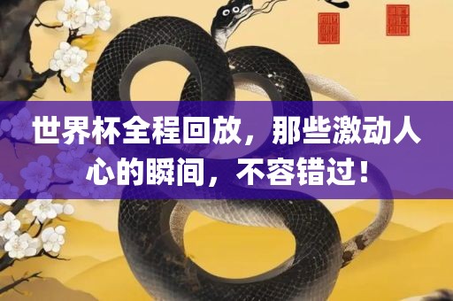 世界杯全程回放，那些激动人心的瞬间，不容错过！