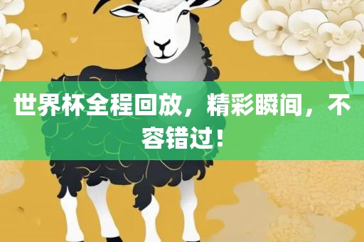 世界杯全程回放，精彩瞬间，不容错过！