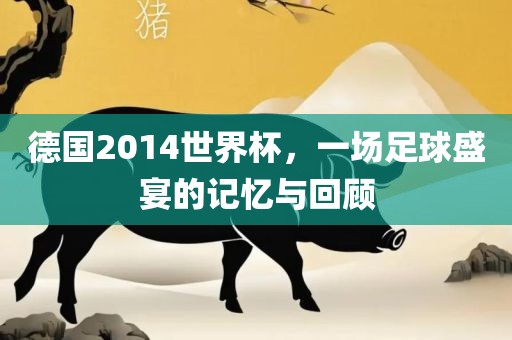 德国2014世界杯，一场足球盛宴的记忆与回顾