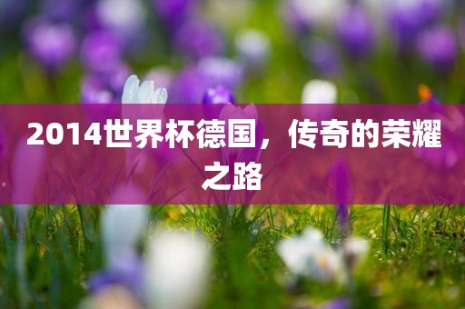 2014世界杯德国，传奇的荣耀之路