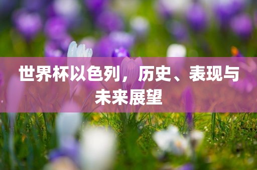 世界杯以色列，历史、表现与未眉山市正发家政服务有限公司来展望