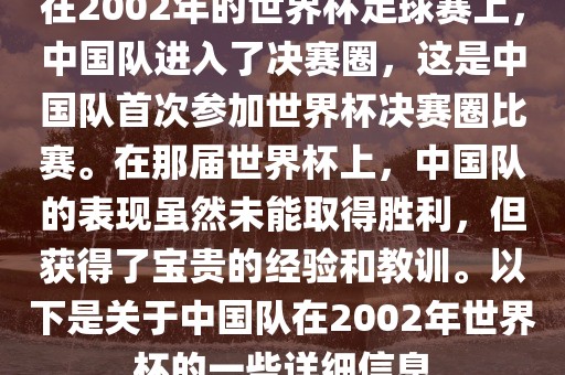 在2002年的世界杯足球赛上，中国队进入了决赛圈，这是中国队首次参加世界杯决赛圈比赛。在那届世界杯上，中国队的表现虽然未能取得胜利，但获得了宝贵的经验和教训。以下是关于中国队在2002年世界杯的一些详细信息