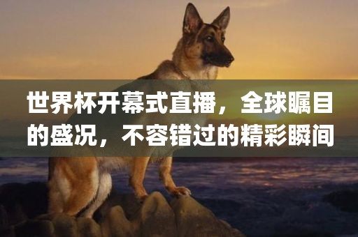 世界杯开幕式直播，全球瞩目的盛况，不容错过的精彩瞬间