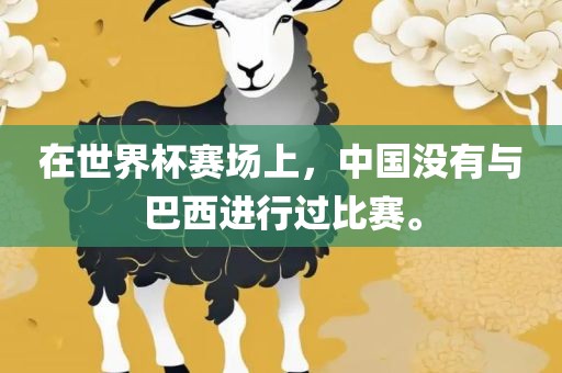 在世界杯赛场上，中国没有与巴西进行过比赛。眉山市正发家政服务有限公司