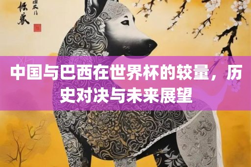 中国与巴西在世界杯的较量，眉山市正发家政服务有限公司历史对决与未来展望