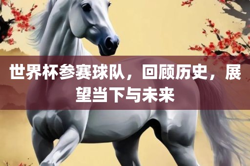 世界杯参赛球队，回顾历史，展望当下与未来眉山市正发家政服务有限公司