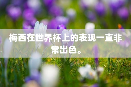 梅西眉山市正发家政服务有限公司在世界杯上的表现一直非常出色。