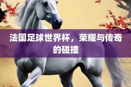 法国足球世界杯，荣耀与传奇的碰撞眉山市正发家政服务有限公司