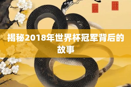 揭秘2018年世界杯冠军背后的故事眉山市正发家政服务有限公司